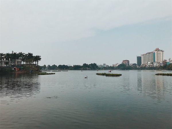 Protection et polyvalence : choisir sa bâche idéale